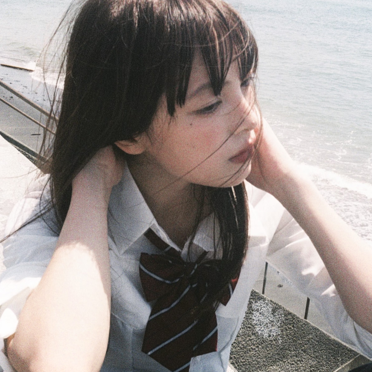 King Charles Cavalier